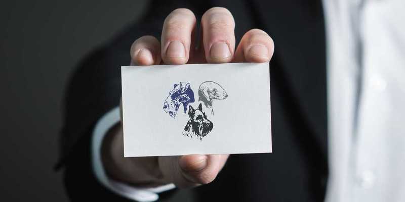 Konec zvýhodněného členství