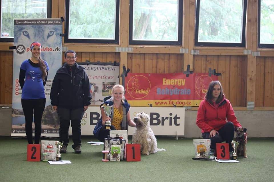 MS teriérů v obedience