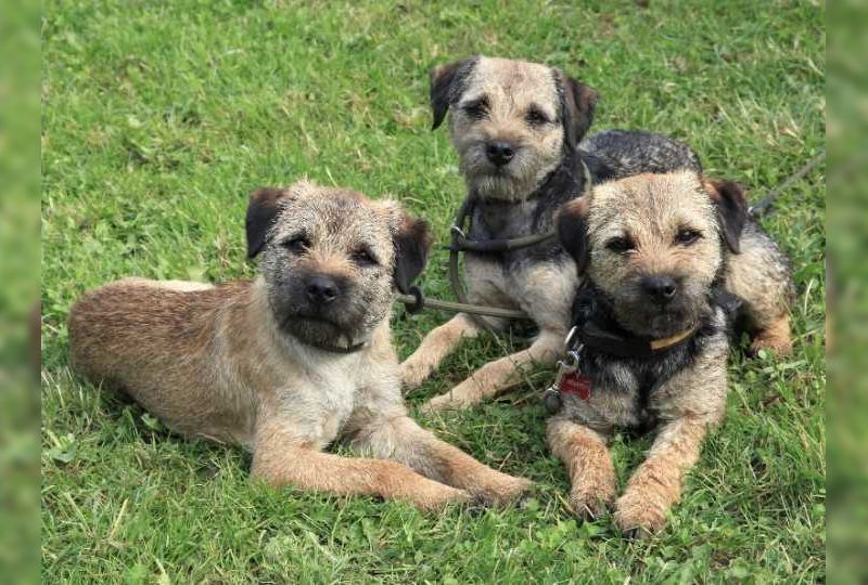 Seminář CECS a SPS