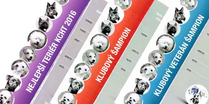 Vydávání diplomů