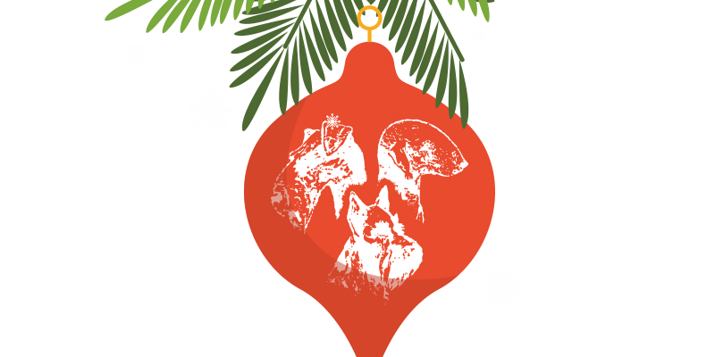 7. vánoční výstava KCHT