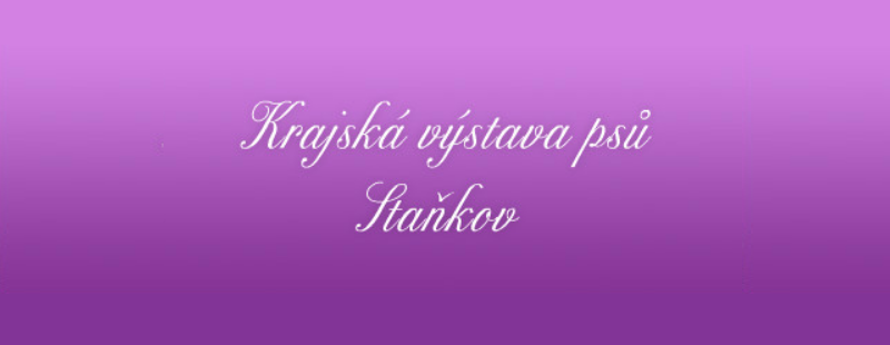 Výstava Staňkov