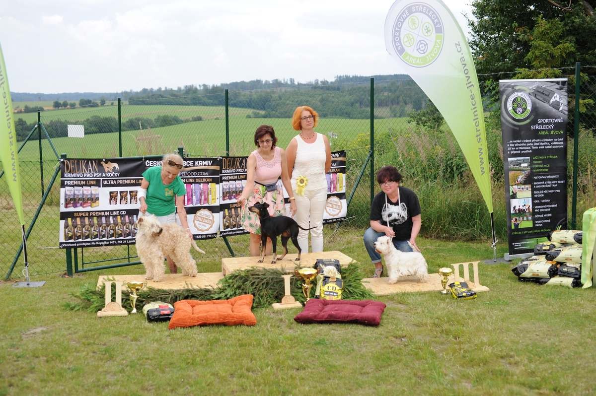 Podmínky pro pořádání výstavy změněny