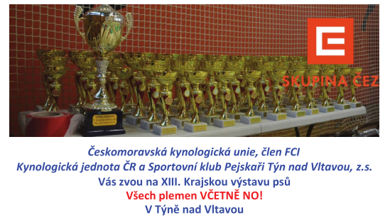 Pozvánka na krajskou výstavu