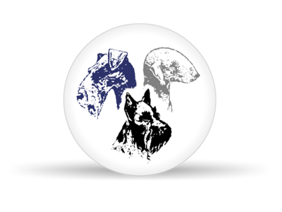 Změny v organizačním řádu, zveřejnění výstavního řádu