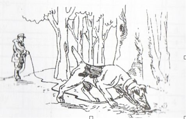 ZVVZ (KCHF) Malovice