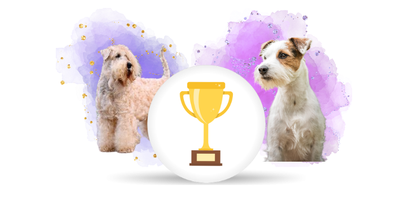 Klub chovatelů teriérů