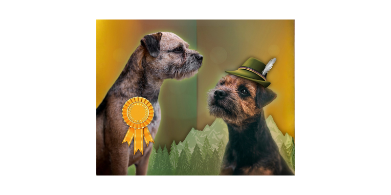 Klub chovatelů teriérů