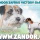 Zandor Zaffiro Victory Garden