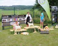 Klub chovatelů teriérů