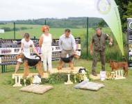 Klub chovatelů teriérů