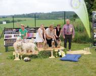 Klub chovatelů teriérů