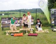 Klub chovatelů teriérů