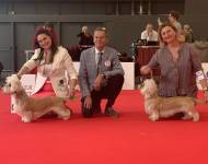 BOB & BOS-Frida Kalo z Roxburku Sun