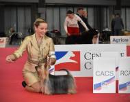 Dress Code Silk of Bohemia