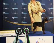 Blueberry Krásná louka