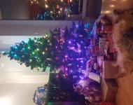 AAA-Black  Berry Blataj