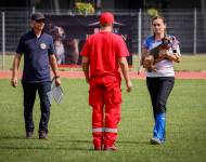 Klub chovatelů teriérů