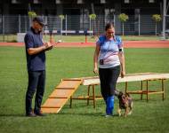 Klub chovatelů teriérů