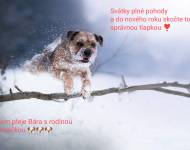 Klub chovatelů teriérů