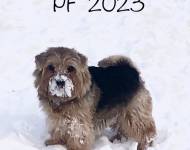 Klub chovatelů teriérů