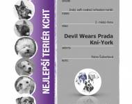 Klub chovatelů teriérů