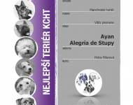 Klub chovatelů teriérů