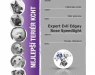 Klub chovatelů teriérů