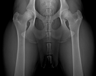 (3) 7 měsíců VD 1