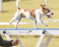 JRT autor fotky Ivana Vranová