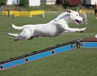 PRT archiv Denisy Lajmarové