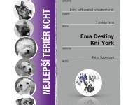 Klub chovatelů teriérů