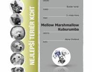 Klub chovatelů teriérů