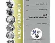 Klub chovatelů teriérů