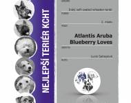 Klub chovatelů teriérů