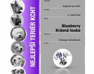 Klub chovatelů teriérů