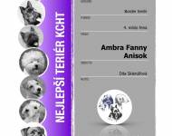 Klub chovatelů teriérů