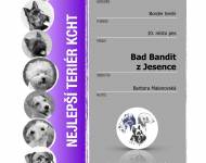 Klub chovatelů teriérů