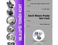 Klub chovatelů teriérů