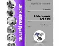 Klub chovatelů teriérů