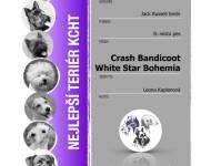 Klub chovatelů teriérů