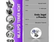 Klub chovatelů teriérů