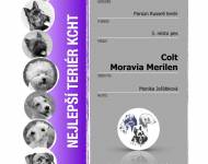 Klub chovatelů teriérů