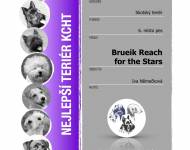 Klub chovatelů teriérů