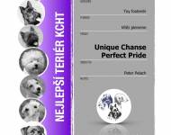 Klub chovatelů teriérů