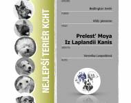 Klub chovatelů teriérů