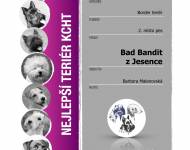 Klub chovatelů teriérů