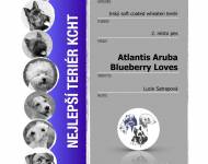 Klub chovatelů teriérů