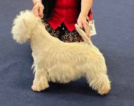 Loving You Lured by the Ranger