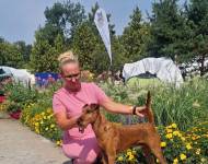 Falcon Flight Simply Irish